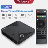 Tripsky Miniq3 Android Tv Box 2Gb Ram 16Gb Rom Tv Box Android 9 2.4G