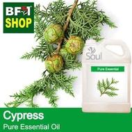 Pure Essential Oil (EO) - Cypress Essential Oil - 5L