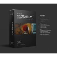 LUTs for BMPCC 4k FILM-S19 Cinematic -Download