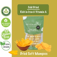 Ketogenius Kitchen Cold-Dried Soft Mango (100g/200g/450g) - Zero Sugar Added, Diabetic friendly, Low