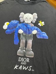 Dior kaws 聯名短t