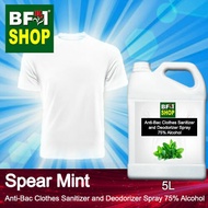 Antibacterial Clothes Sanitizer and Deodorizer Spray (ABCSD) - 75% Alcohol with mint - Spear Mint - 5L