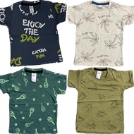 Tshirt Budak 1 - 6 tahun boy tshirt