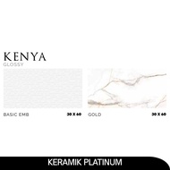 KERAMIK PLATINUM - KENYA WB 30x60