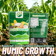 [ICE] Humic Growth - Organic NPK and Foliar Fertilizer for Plants, Vegetables, Corn and Rice. Better than Humus and Fulvic as Garden Soil Conditioner, Growth Enhancer and Flower Blooming (Pampabunga). Compatible with Amo, Anna, Canaan, MRJ and Hyfer!