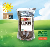 ROUWO 3T Succulent Potting Mix 2Liter 肉窝特调介质2Liter