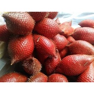 BUAH SALAK SIAM | SALAK FRUIT