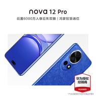 华为nova12pro 新品手机 12号色 12G+256GB全网通