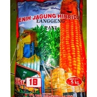 benih jagung bisi 18 hibrida bisi18 kemasan 5kg