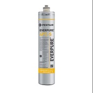 Pentair Everpure 4FC-S 4FCS Water Filter 愛惠浦 4FC-S 4FCS 濾芯