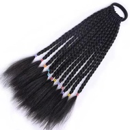 ❤️✨Color Braids Wig Braids Dirty Braids Wig 30cm Braids Street Dance Braids 12 Braids Children Wig B