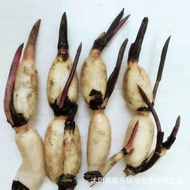 Lotus Seed Seed Lotus Lotus Lotus Aquatic Flower Plant Wetland Greening Lotus Root Seedling Bowl Lot