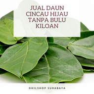 Jual Daun Cincau Hijau China Rambat Tanpa Bulu Kemasan 1kg Jelly Capcin Ijo Kekinian Topping Agar Agar Capucino Hitam Madu Gula Merah Grassjelly Perkilo Tahan Lama