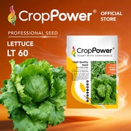 (5 GRAM) Biji Benih Sayur Salad Omega 傲美佳 LT60 CROP POWER Iceberg Lettuce Seed 结球生菜种子 LT 60