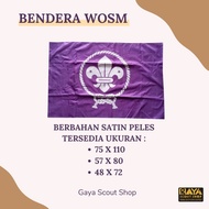 World Scout Flag/ Wosm Flag