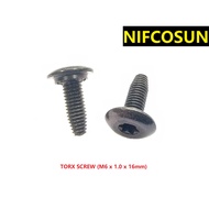 10PCS TORX SCREW (M6 x 1.0 x 16mm)