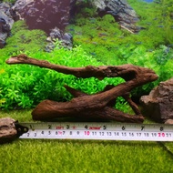 S size Teras driftwood Driftwood branches kayu aquarium