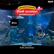 (QRcode) บัตร SeaLife + นั่งเรือท้องกระจก + ภาพยนต์ 4D Sealife Glass Bottom Boat SEA LIFE 4D