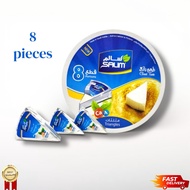 SALIM PORTION CHEESE -TRIANGLE 120g x 8 x 36