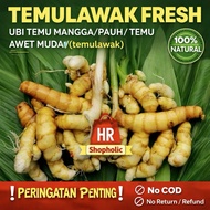TEMULAWAK FRESH | UBI TEMU MANGGA/PAUH / TEMU AWET MUDA( temulawak )