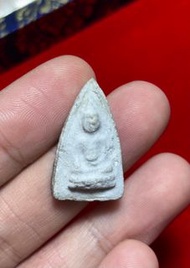 冠咩布倫 2494 砵陀耐