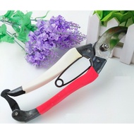 [SG Seller] Gardening Shear Pruner Shear Scissors Curve Strengthen Blade - Stock in SG