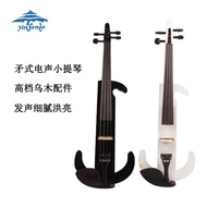 Electronic Sound Violin Sound Fante Violin 4/4 Adult Professional Performance Level Students Univers