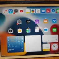 iPad mini 4