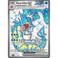 Pokemon TCG Single Card - Gyarados ex 225/198