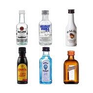 Mini Bartender Set with Absolut Vodka & Whisky - 50ml Bottles
