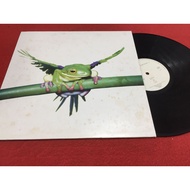 White Lipped Tree Frog 12 Inches LP PinHaiMusic B63 Shop