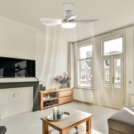 AKT LIGHTING 20" Ceiling Fan with Light Remote Control, Socket Fan Light Original with Light Replace