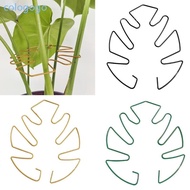 COLO Monstera Plant Support Stakes Vertical Growth Monstera Holder for Monstera Plant Indoor and Out