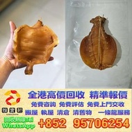 香港實體店 高價回收 花膠 舊花膠 陳年花膠 現金交收 花膠 魚肚 魚膠 魚鰾 鳘魚膠 赤嘴膠 蜘蛛膠 白花膠 燕窩 鮑魚 海參等各種海味