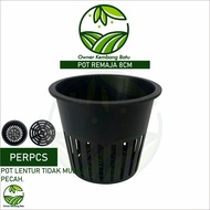 Teenage Orchid Pot Size 8cm Orchid Pot