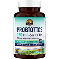 Vitalitown Probiotics 120 Billion CFUs 30 Vegan Delayed Release Capsules 36 Strains, with Prebiotics &amp; Digestive Enzymes Men Women Shelf Stable Digestive &amp; Immune Support Non-GMO