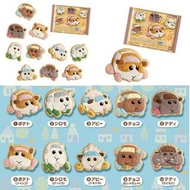 🇯🇵日本天竹鼠車車COOKIE MAGCOT