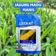 BENIH JAGUNG SUGAR RICH 592 / JAGUNG MADU / JAGUNG MANIS / BENIH JAGUNG.