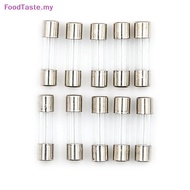 FoodTaste   10pcs Glass Tube Fuse 5mm x 20mm 1.6A T1.6A 250V Slow Blow 1.6Amps   MY