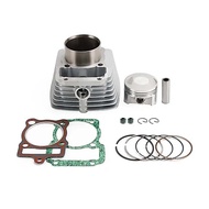 [Hot Sale Motorcycle Accessories] Motorcycle Cylinder Suitable for Cilindro 67mm Para Italika Dm250 