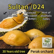 Fresh D24 Sultan Durian 新鲜苏丹D24榴莲 (400g)