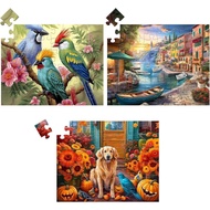 3 Pack 48 Piece Jigsaw Puzzle for Seniors Dementia Puzzles for Elderly Large Piece Puzzle for Senior