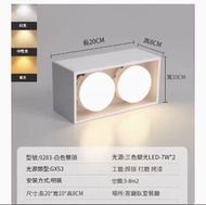 全城熱賣 - LED吸頂燈筒燈【白色-雙頭-14W-三色變光】