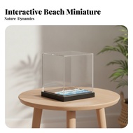 Beach Diorama Cube-Shaped Diorama Display Box Miniature Display Case Transparent
