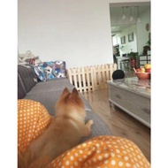 pet wooden playpen fence