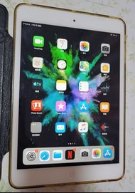 iPad Mini 2