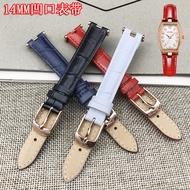 Banbanli Recommendation~FOLLI FOLLIE FOLLIE Strap 14MM Notch Genuine Leather Ladies Watch Accessorie