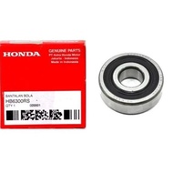 Lava bearing 6300/hb6300rs