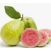 10 pink guava seed/ 10 biji benih pink guava