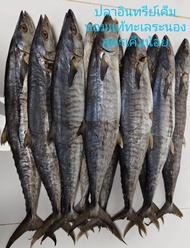 ปลาอินทรีย์เค็มหอม คัดพิเศษ ของดีจังหวัดตลาด สูตรเค็มน้อย ขายยกตัว น้ำหนัก 800-900 กรัมขึ้นไป ราคา